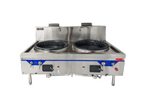 新款节能双大锅灶